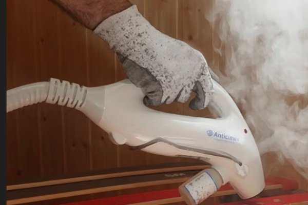 Eliminar Chinches en Chicureo - Control de Plagas y Fumigaciones